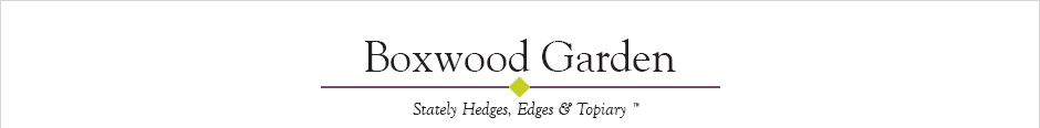 boxwood garden stately hedges, edges and topiary, wholesale boxwood oregon