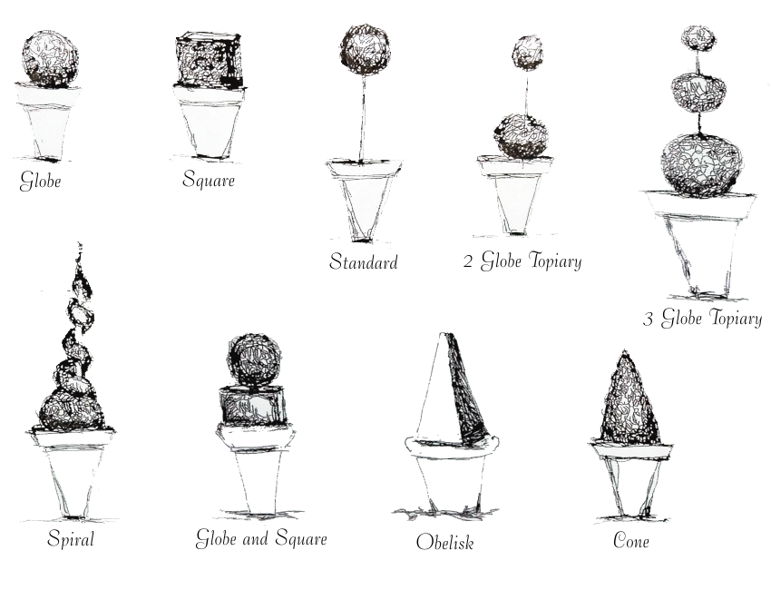 common boxwood topiary shapes: globe, square, standard, 2 globe topiary, 3 globe topiary, spiral, globe and square, obelisk, cone