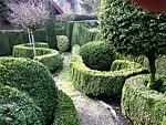 boxwood hedges and topiary, landscape