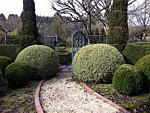 landscaped path with boxwood topiary